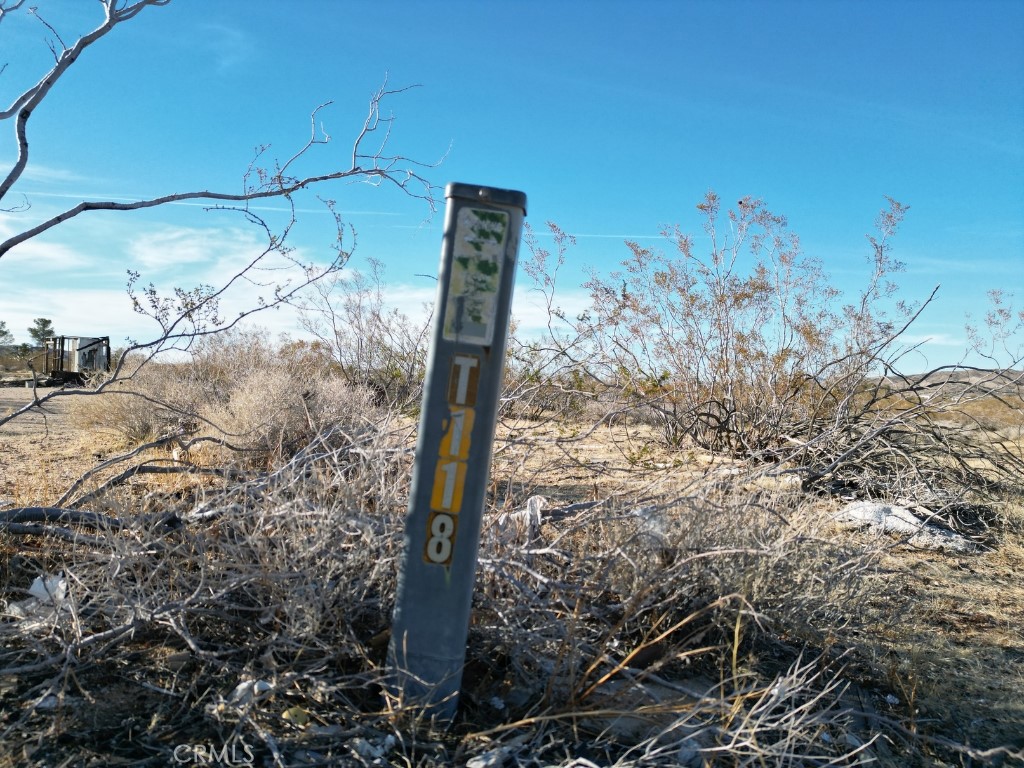57186 Karol Road Landers, CA 92285 - Photo 5 of 7 a view of a yard
