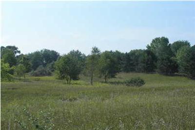Eckert Road Southeast, Unit PAR 1 Freeport, MI 49325 - Photo 1 of 6 Primary Photo