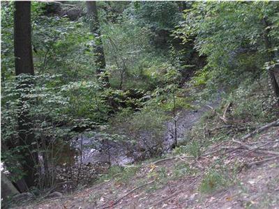 Eckert Road Southeast, Unit PAR 1 Freeport, MI 49325 - Photo 2 of 6 Additional Photo
