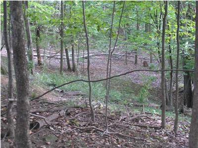 Eckert Road Southeast, Unit PAR 1 Freeport, MI 49325 - Photo 4 of 6 Additional Photo