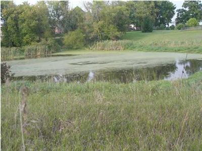 Eckert Road Southeast, Unit PAR 1 Freeport, MI 49325 - Photo 6 of 6 Additional Photo