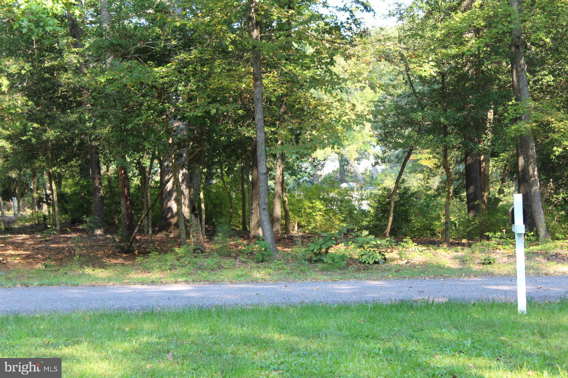 165 Chrystal Road Colonial Beach, VA 22443 - Photo 19 of 28 Gallery Image 19