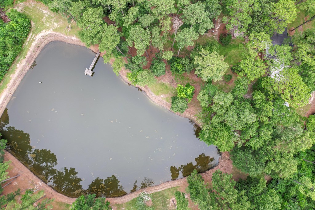 6850 North Co Road Columbia, AL 36319 - Photo 65 of 81