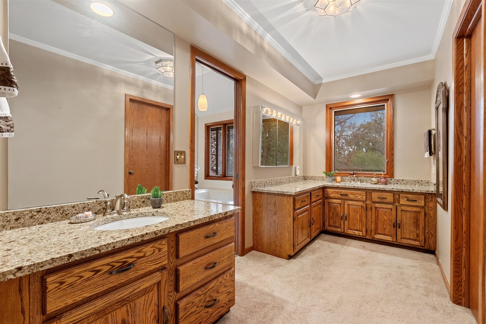 1051 Saunders Road Riverwoods, IL 60015 - Photo 17 of 37 a bathroom with a granite countertop sink mirror and a bathtub