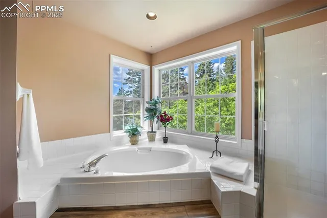 a bathroom with a sink a large mirror and a potted plant