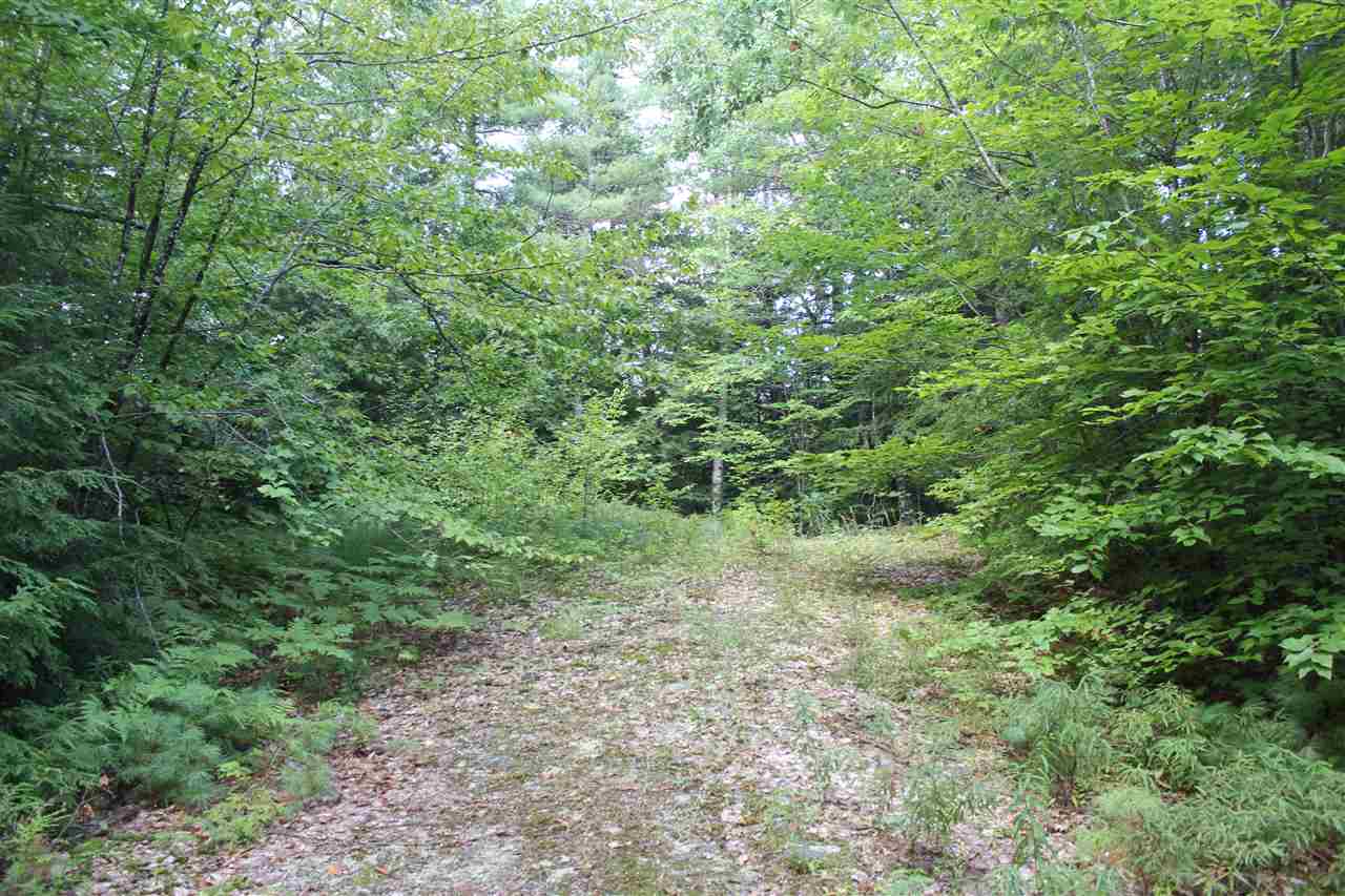 87 Ossipee Mountain Road Ossipee, NH 03814 - Photo 8 of 18