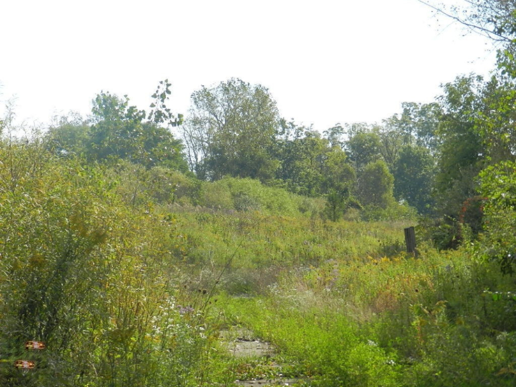 2397 Niles Road St. Joseph, MI 49085 - Photo 6 of 7 DSCN0169