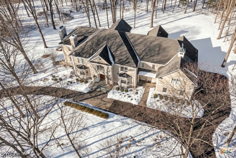 7 Timber Ridge Road Far Hills, NJ 07931 - Photo 3 of 48 a view of a chairs and table in the patio