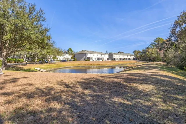 $250,000 | 15925 Fishhawk View Drive, Lithia, FL 33547