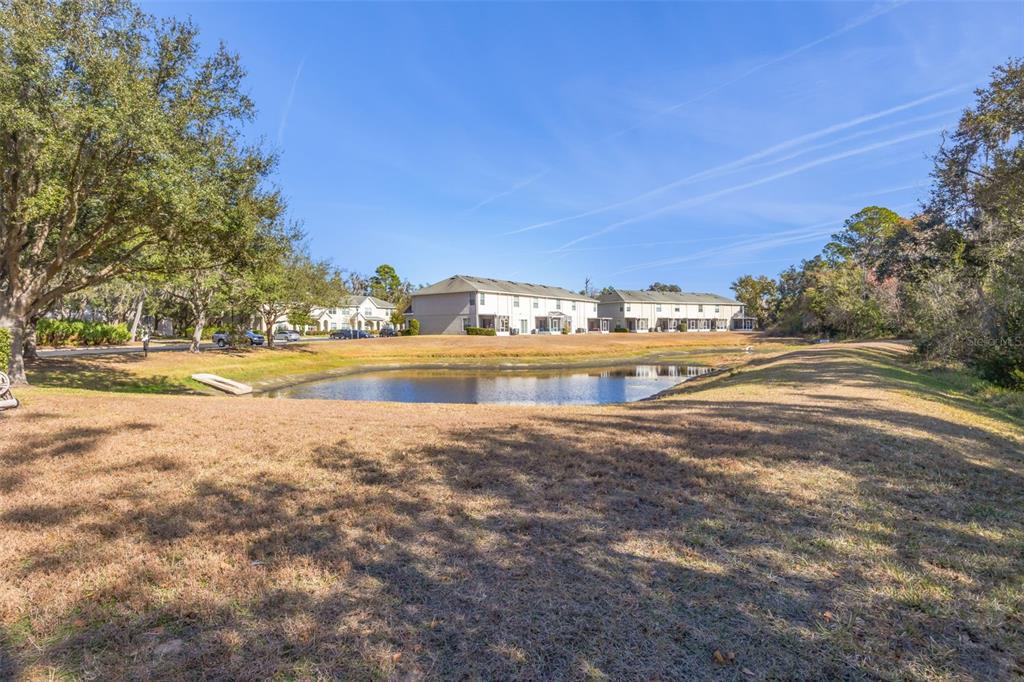 15925 Fishhawk View Drive Lithia, FL 33547 - Photo 26 of 30