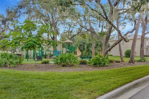 a view of a backyard with large trees