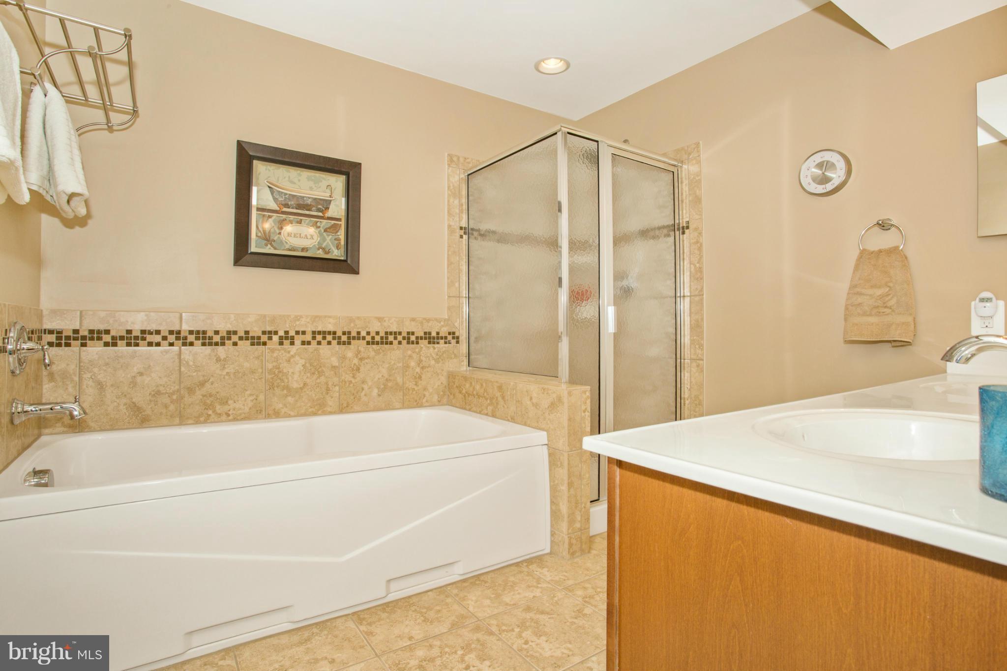 2524 Mill Race Road Frederick, MD 21701 - Photo 19 of 30 Bath (Master)