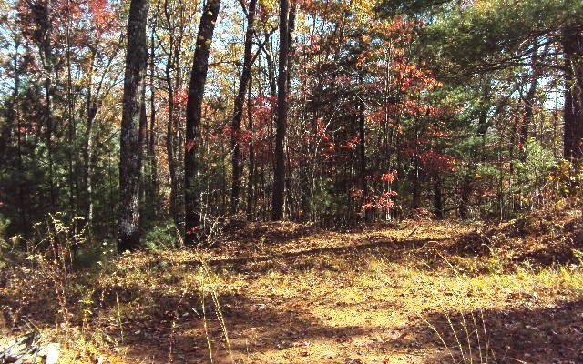 Mountain View Road Murphy, NC 28906 - Photo 1 of 1 Main View