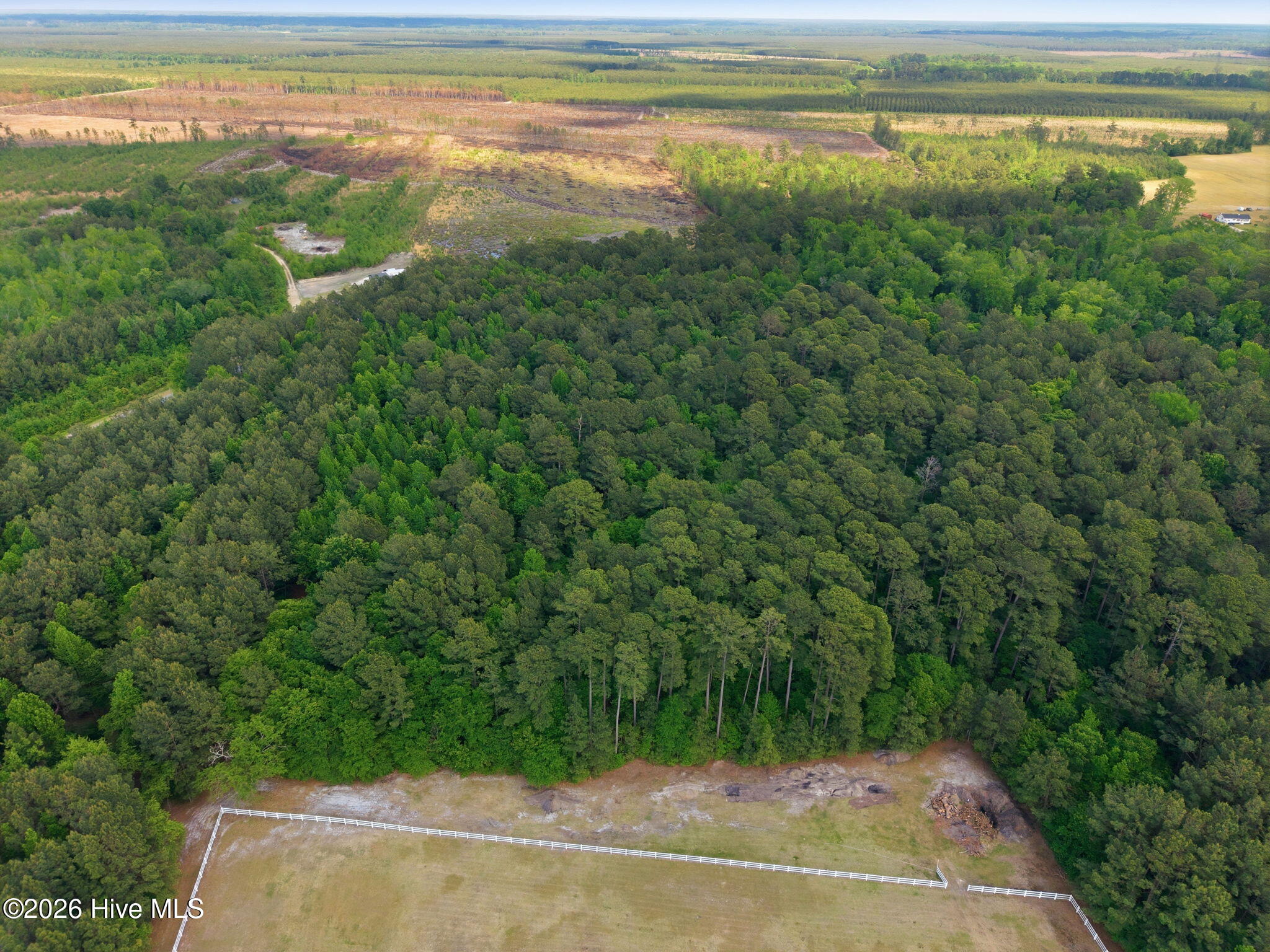 0 Roosevelt Spain Road Greenville, NC 27834 - Photo 10 of 14 10-web-or-mls-dji_20260424151620_0034_d