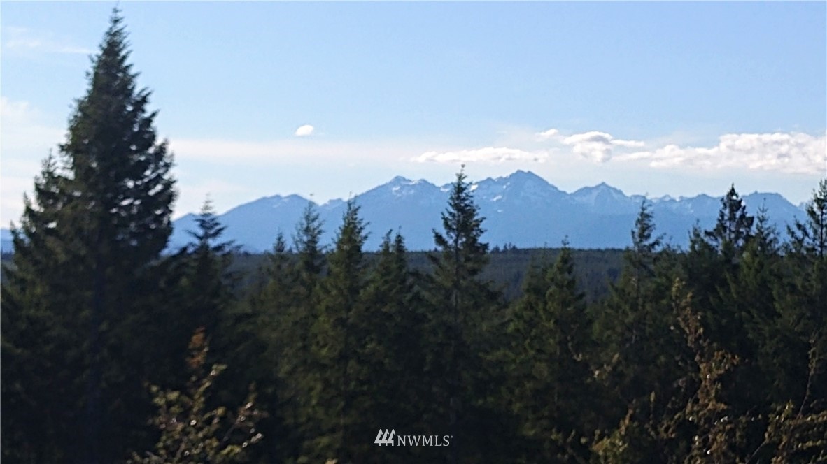 3 Xx Benson Ridge Road Grapeview, WA 98546 - Photo 1 of 4 Gallery Image 1