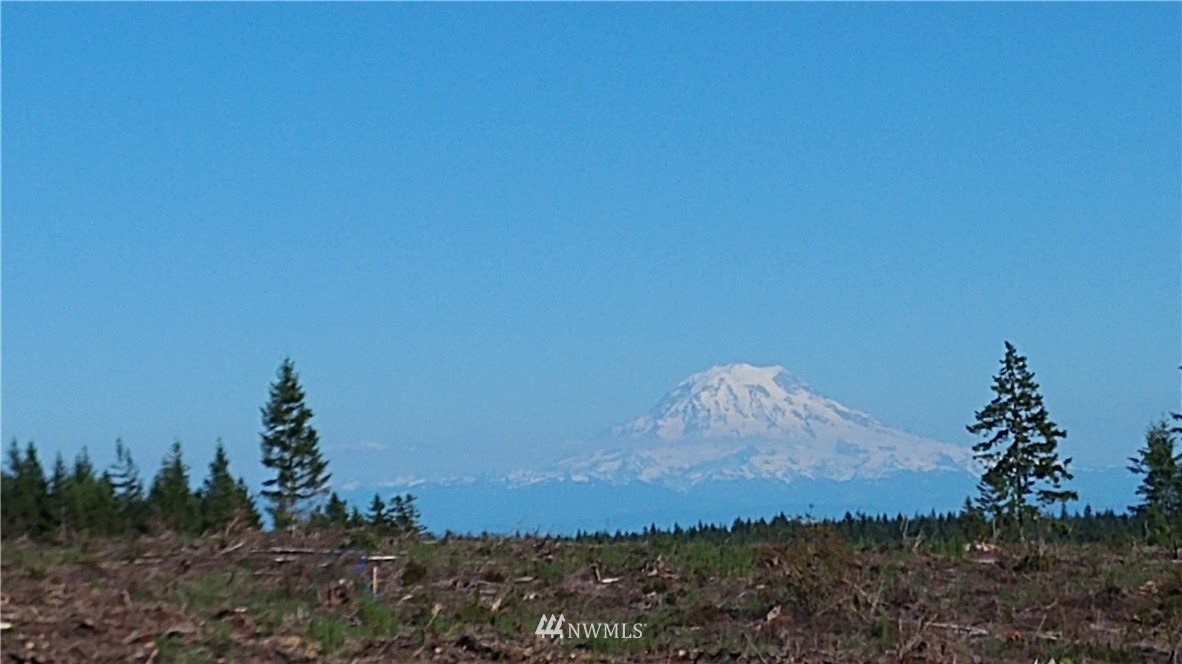 3 Xx Benson Ridge Road Grapeview, WA 98546 - Photo 3 of 4 Gallery Image 3