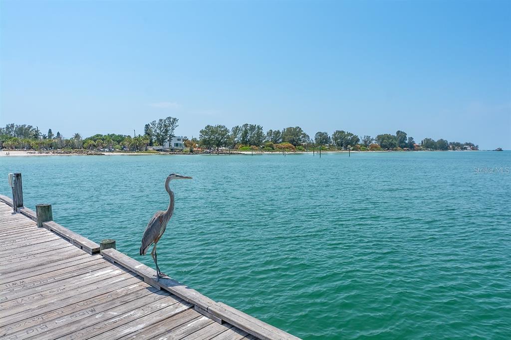 3850 Mariners Walk, Unit 714 Cortez, FL 34215 - Photo 44 of 59 a view of a lake from a balcony