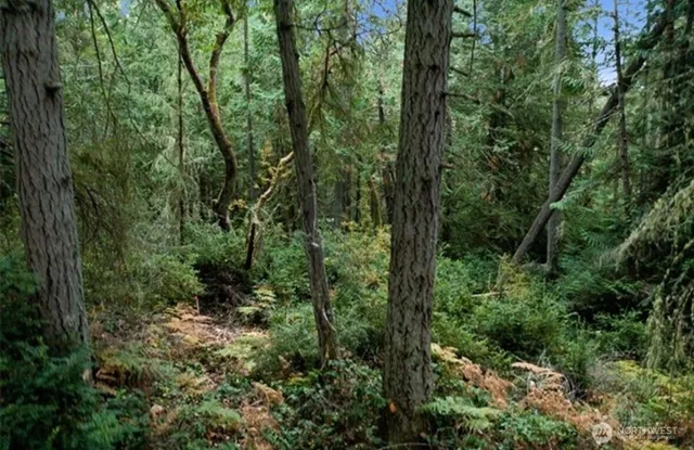 $12,000 | 11106 Spruce Drive, Anderson Island, WA 98303