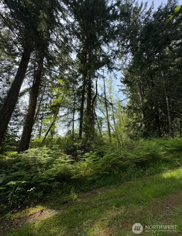 $12,000 | 11106 Spruce Drive, Anderson Island, WA 98303