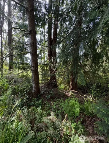 $12,000 | 11106 Spruce Drive, Anderson Island, WA 98303