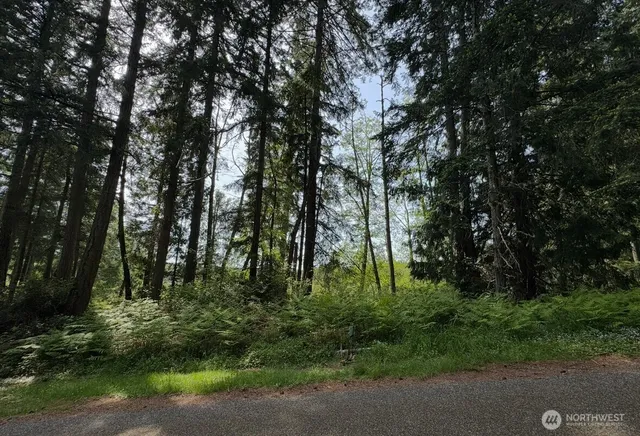 $12,000 | 11106 Spruce Drive, Anderson Island, WA 98303