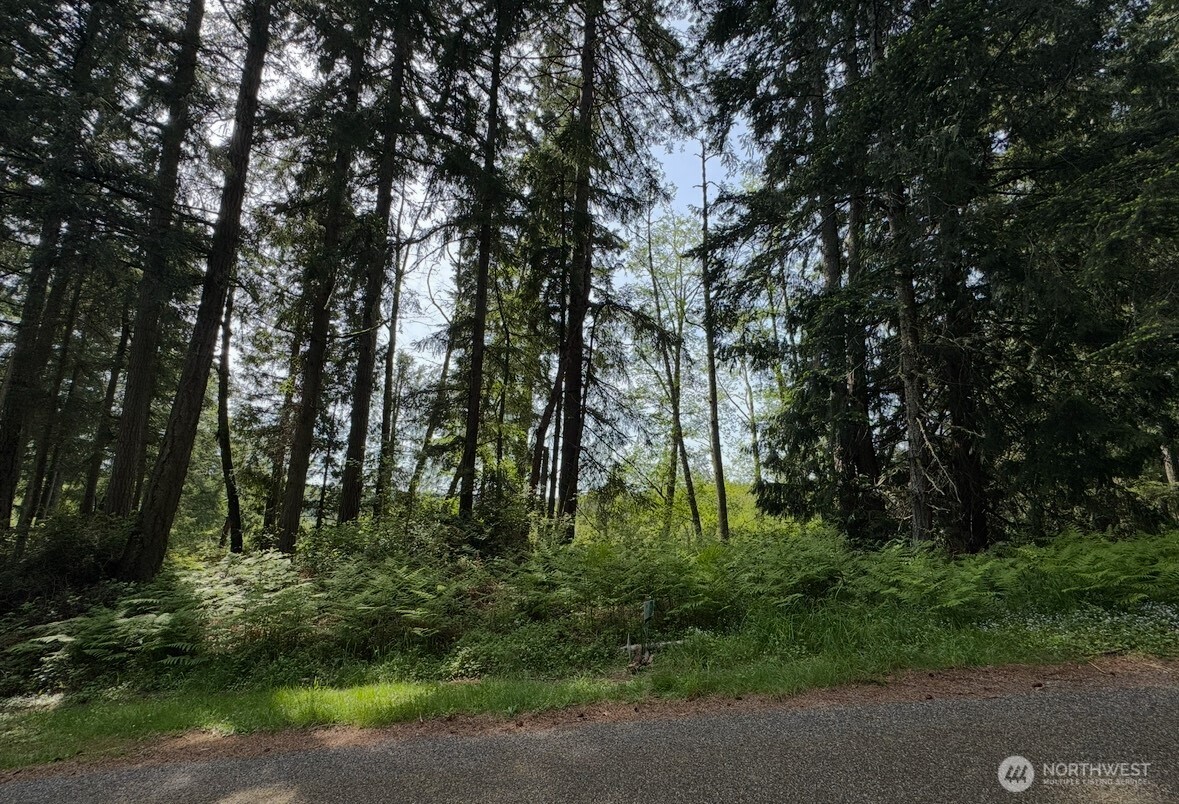 11106 Spruce Drive Anderson Island, WA 98303 - Photo 6 of 9