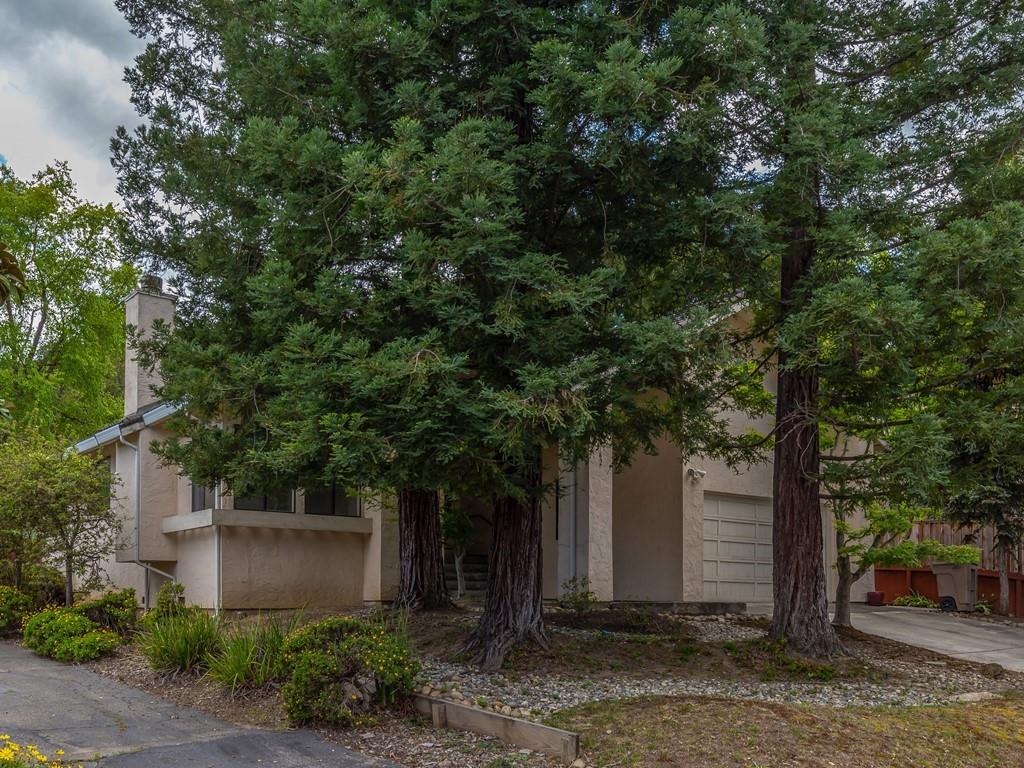 a front view of a house with trees and plants