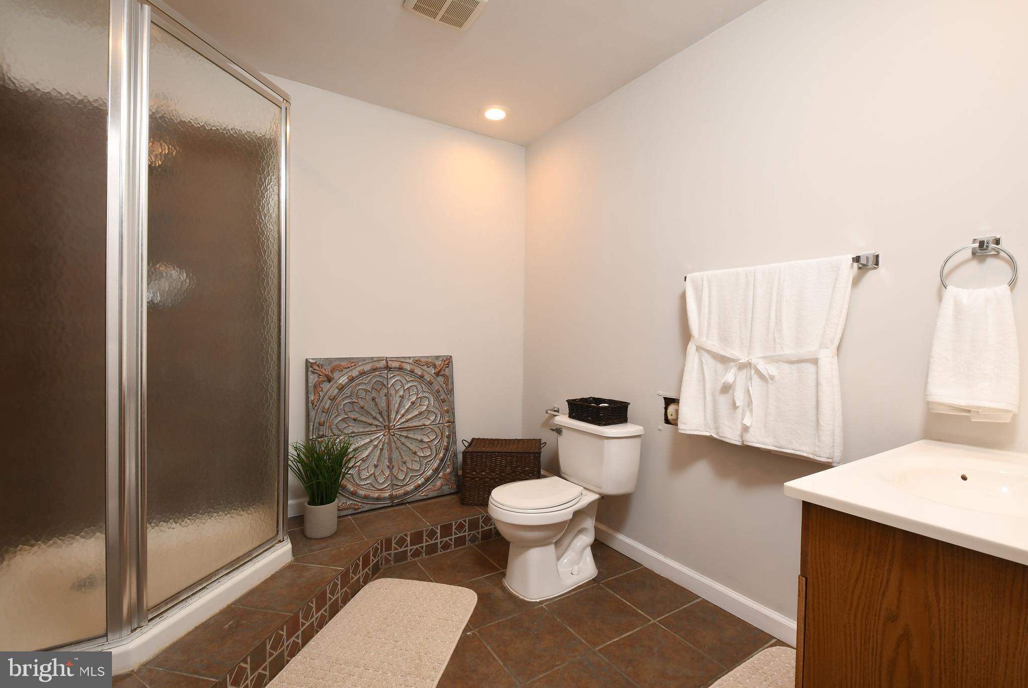 7 Ingram Court Ruther Glen, VA 22546 - Photo 25 of 37 Spacious Lower level bathroom