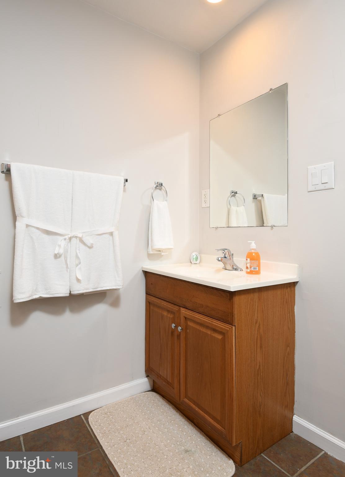 7 Ingram Court Ruther Glen, VA 22546 - Photo 26 of 37 Lower level bathroom