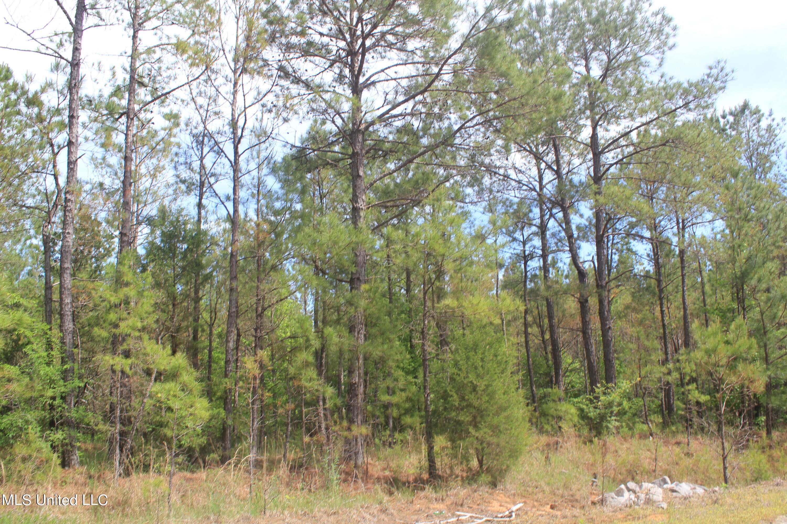 2406 Musgray Road Waterford, MS 38685 - Photo 17 of 25 IMG_8363