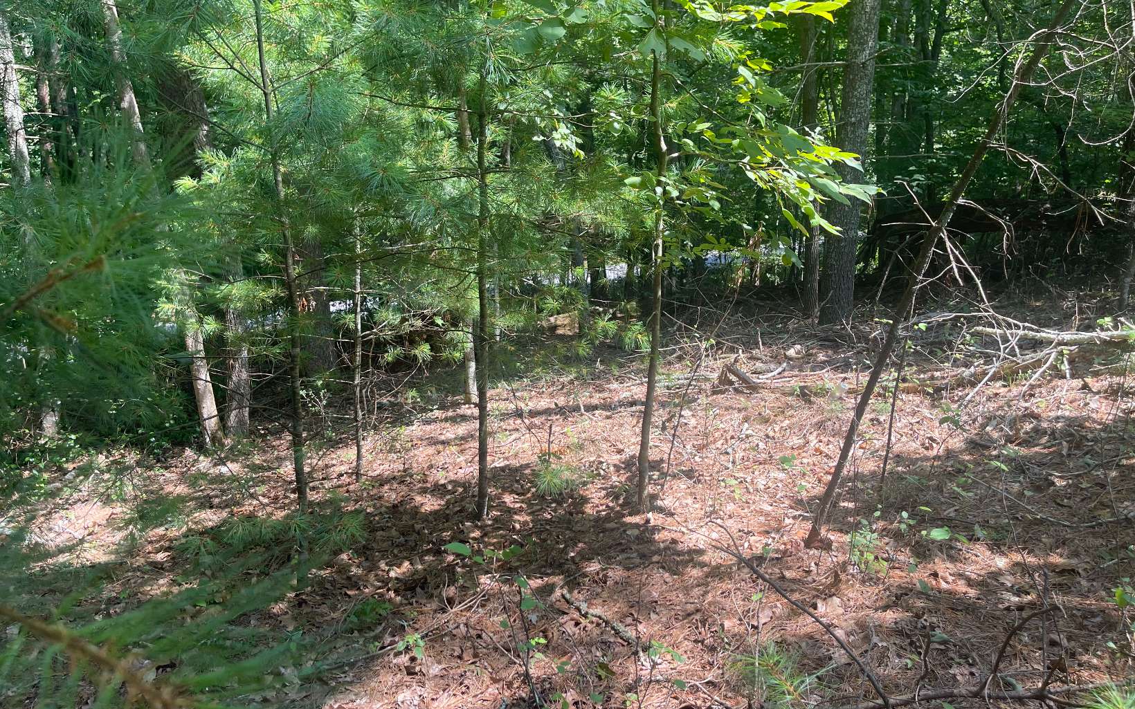 1-2 Hemptown Cliffs Road Morganton, GA 30560 - Photo 25 of 28 Additional View
