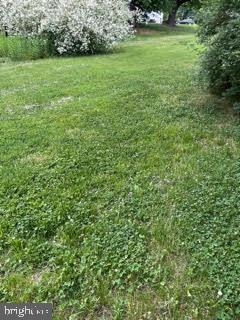 4668 Durham Road Doylestown, PA 18902 - Photo 5 of 19