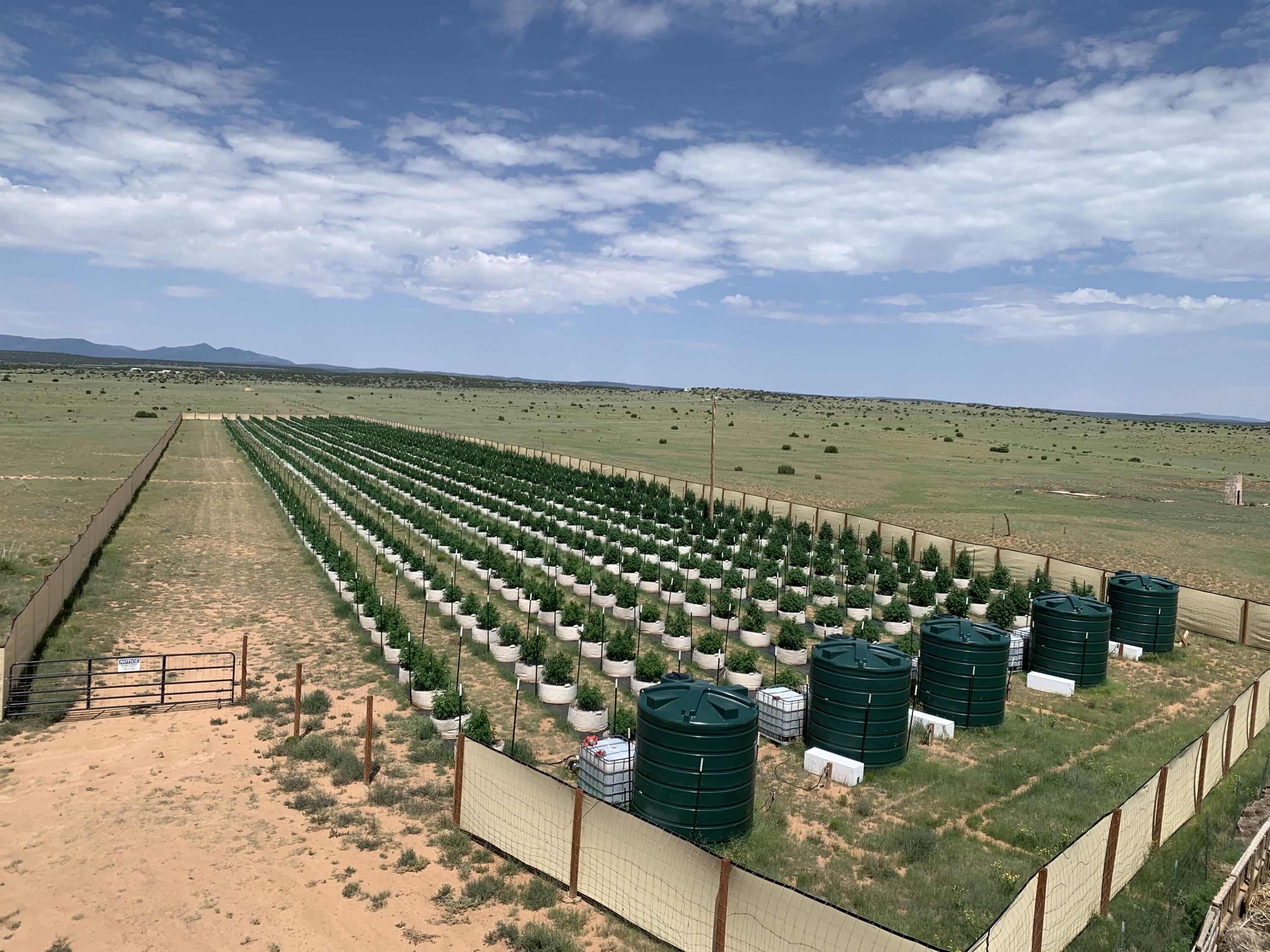 414 Peacock Road Estancia, NM 87016 - Photo 109 of 115 Gallery Image 109