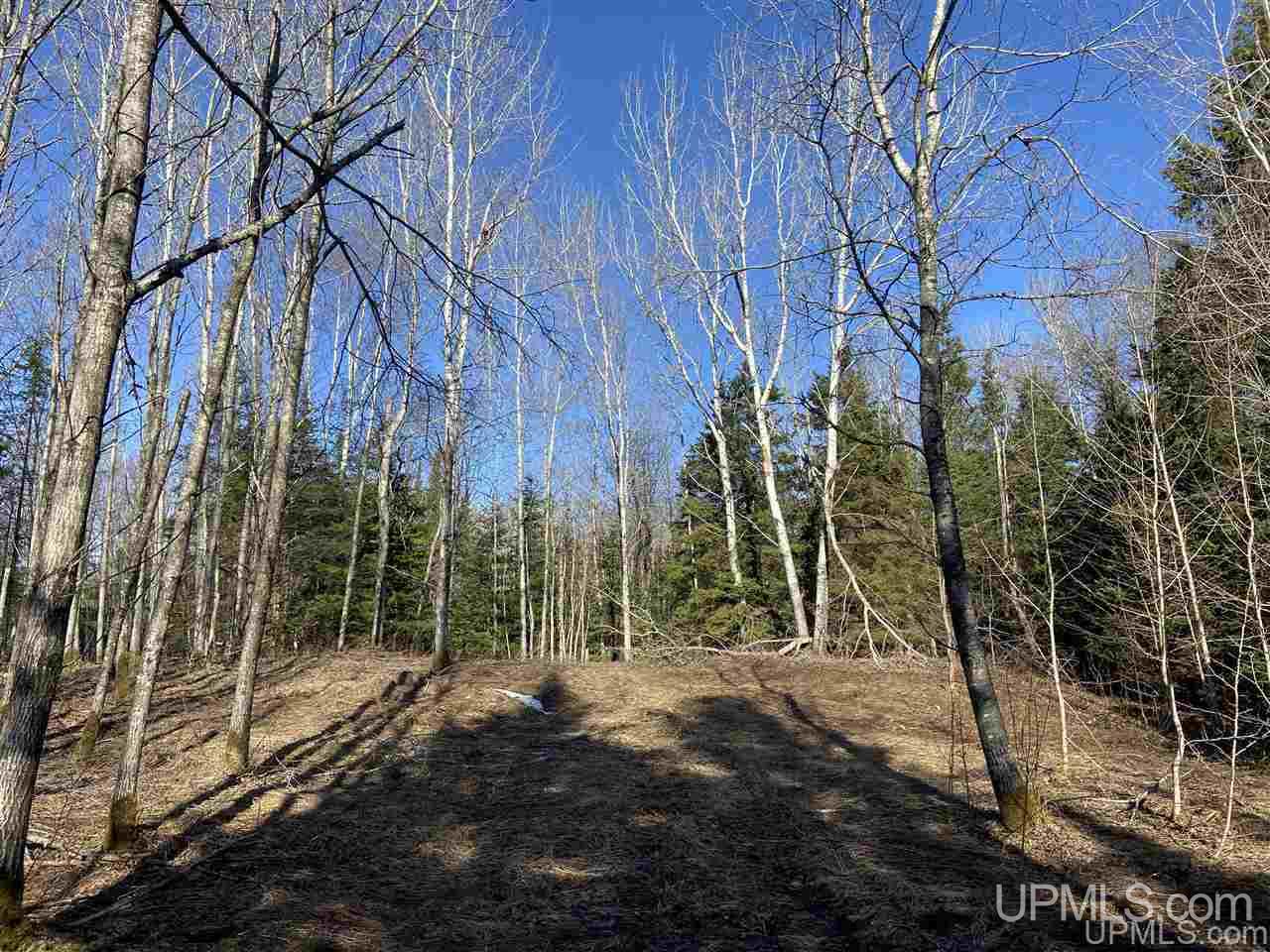 Tbd Degarmo Road Trenary, MI 49891 - Photo 21 of 34