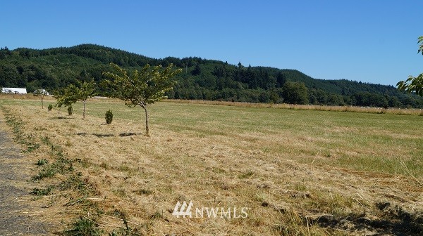 81 Geissler Road Montesano, WA 98563 - Photo 8 of 11 Gallery Image 8