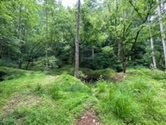 0 Stanton Road Seymour, TN 37865 - Photo 28 of 35 Gallery Image 28