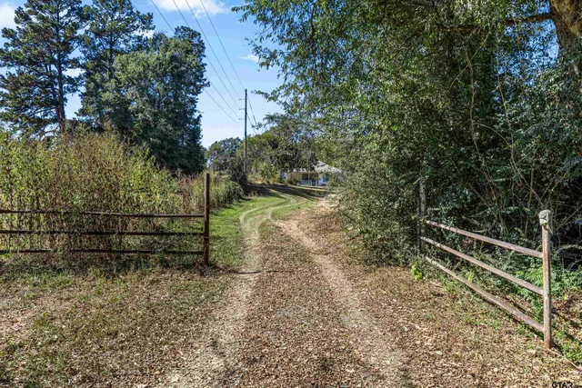 a view of a bench in a backyard