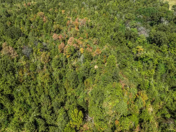 a view of a tennis court