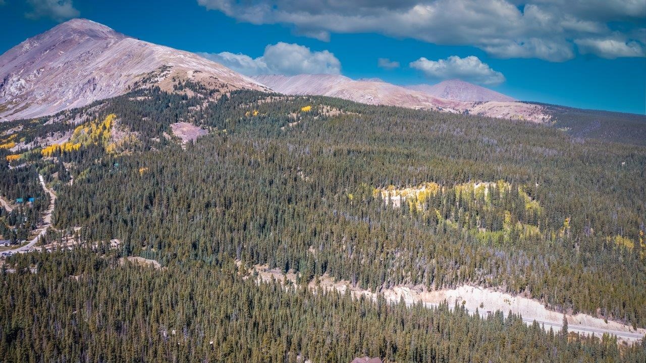 91 Mccullough Gulch Road Breckenridge, CO 80424 - Photo 6 of 16 Gallery Image 6