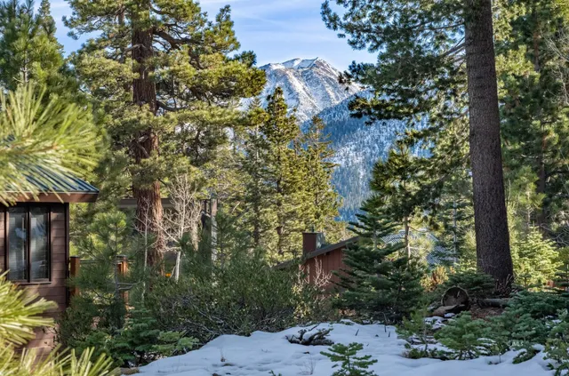 a view of a house with a tree