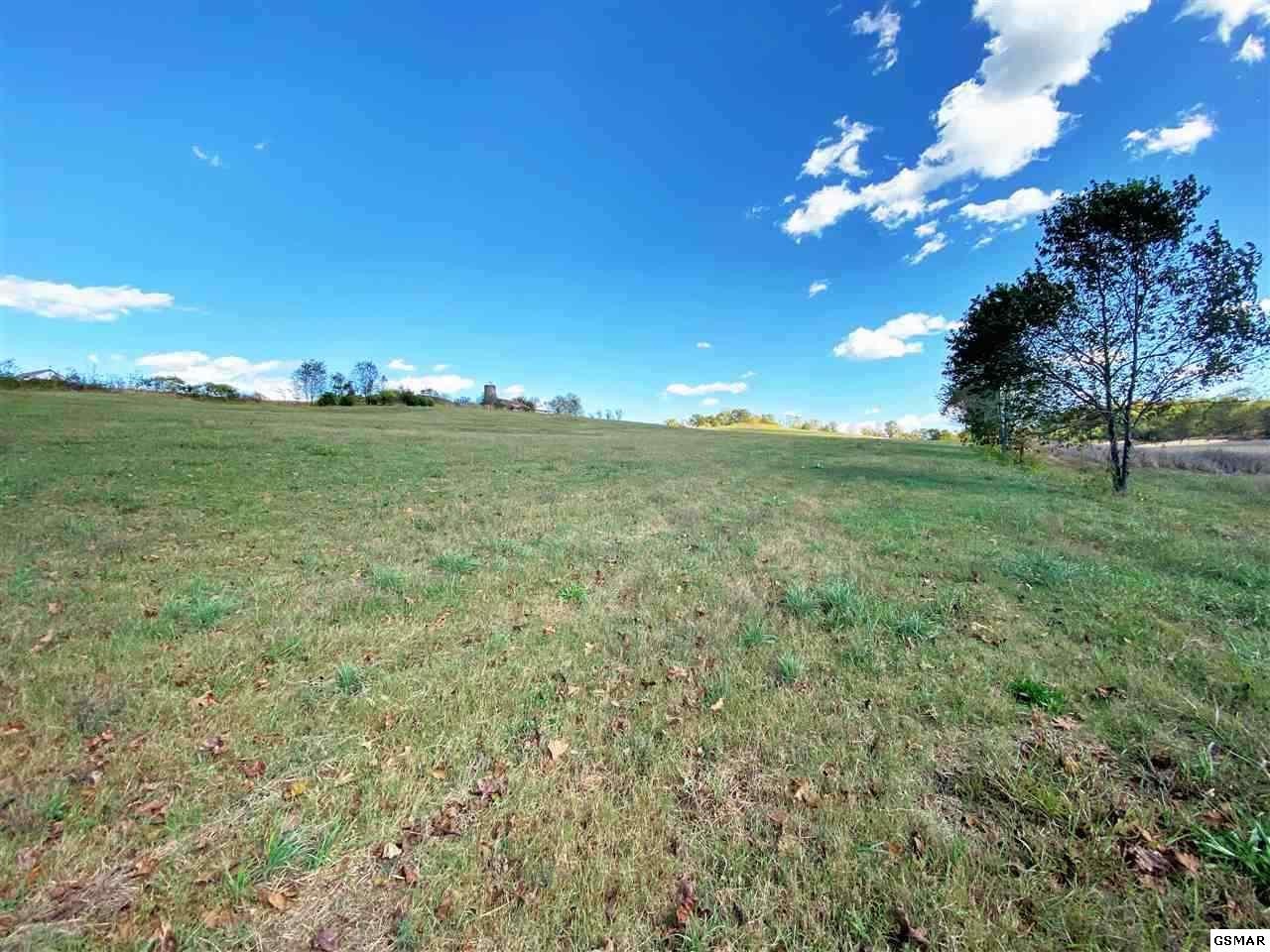3 Holston View Road New Market, TN 37820 - Photo 18 of 18