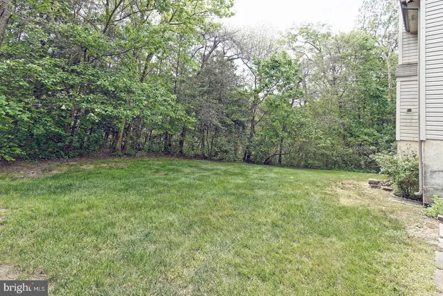 a view of a yard with a tree