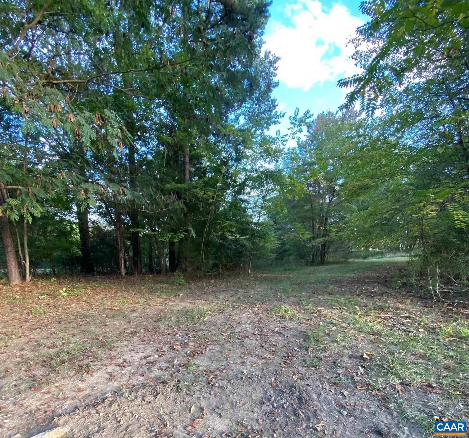 232 Troy Road Troy, VA 22974 - Photo 12 of 13 a view of a forest with trees in the background