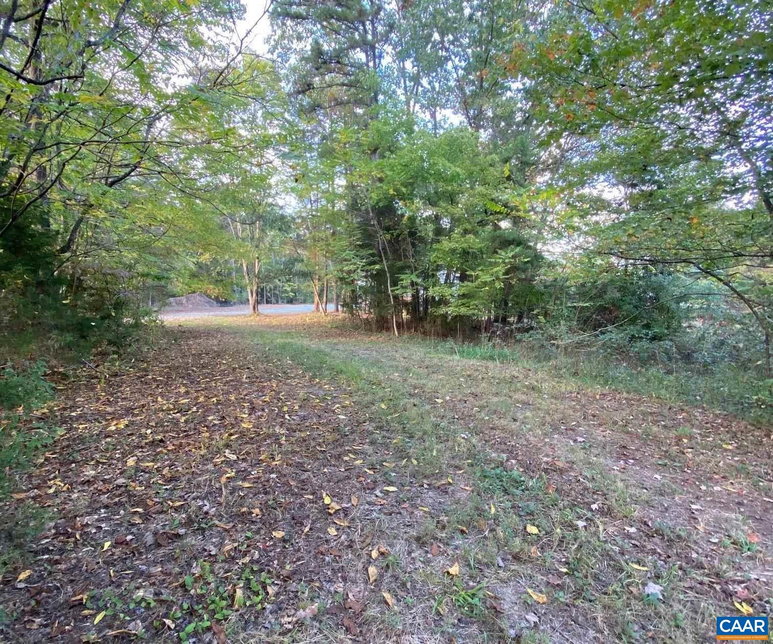 232 Troy Road Troy, VA 22974 - Photo 13 of 13 a view of a forest with trees in the background
