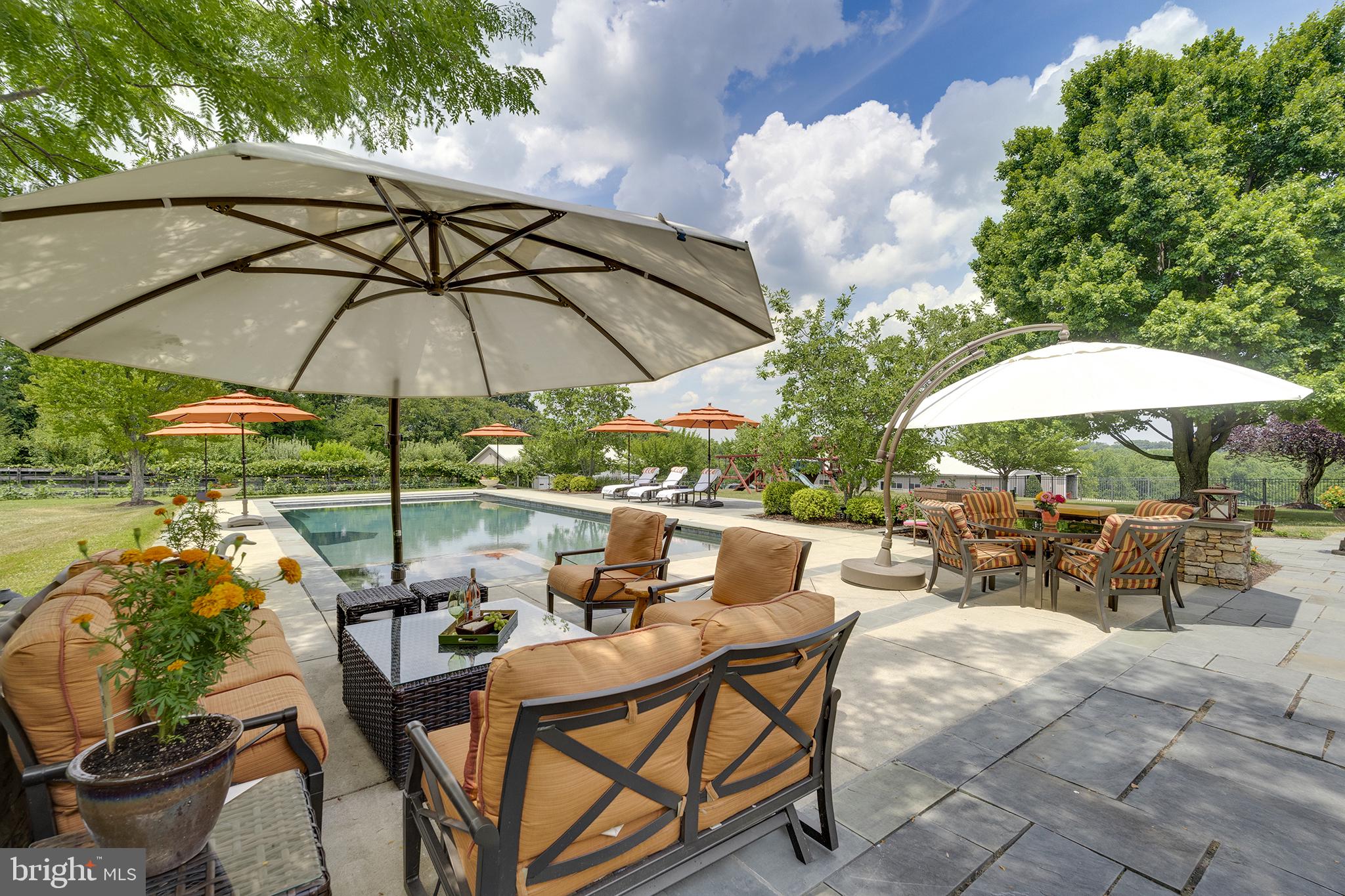 26100 Mullinix Mill Road Mount Airy, MD 21771 - Photo 60 of 99 Serene poolside retreat with lush greenery.