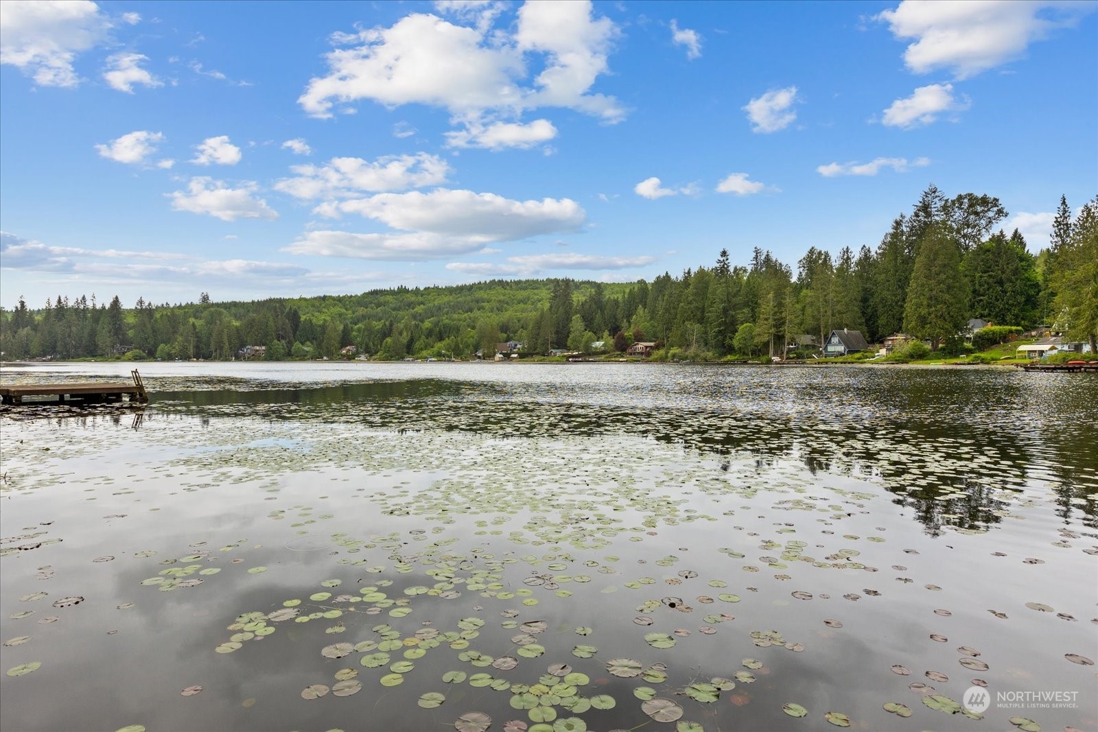 1024 South Lake Roesiger Road Snohomish, WA 98290 - Photo 35 of 35 a view of a lake with beach and trees