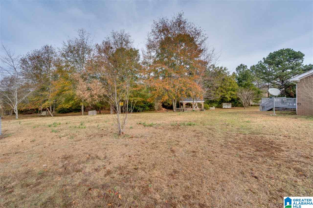 5313 County Road 24 Verbena, AL 36091 - Photo 46 of 49