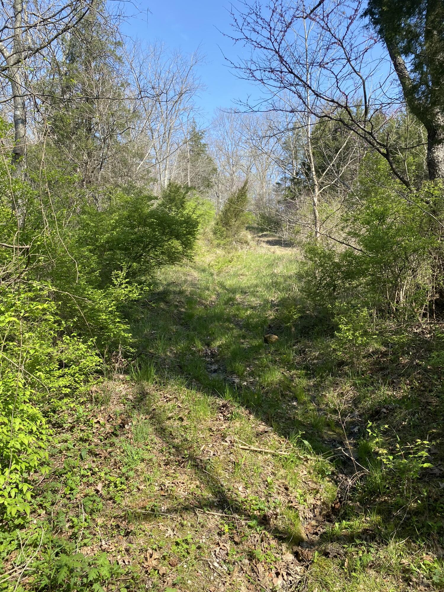 470 Lulbugrud Road Winchester, KY 40391 - Photo 3 of 12 IMG_3937