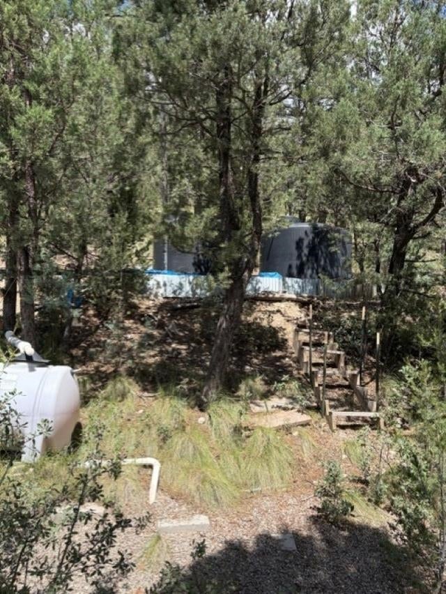 29 Ponderosa Road Mayhill, NM 88339 - Photo 27 of 29 Gallery Image 27