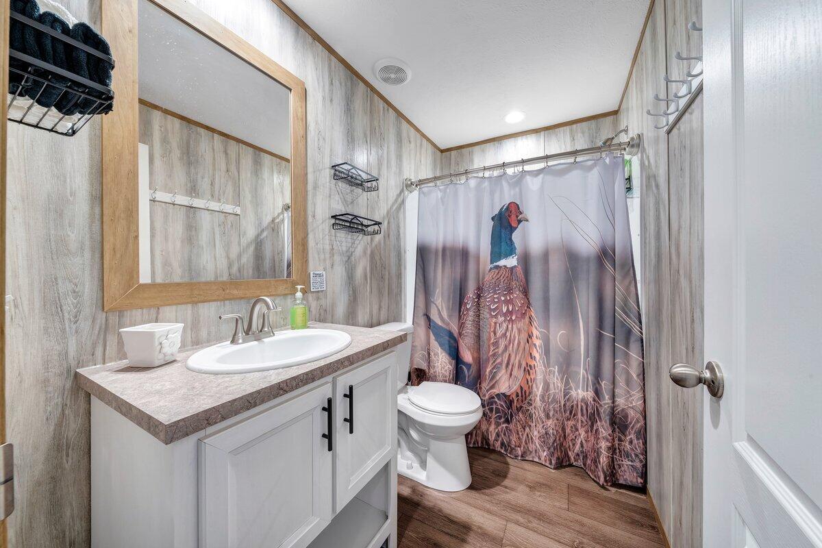 780 Adkins Road Penhook, VA 24137 - Photo 31 of 49 a bathroom with a sink toilet and shower